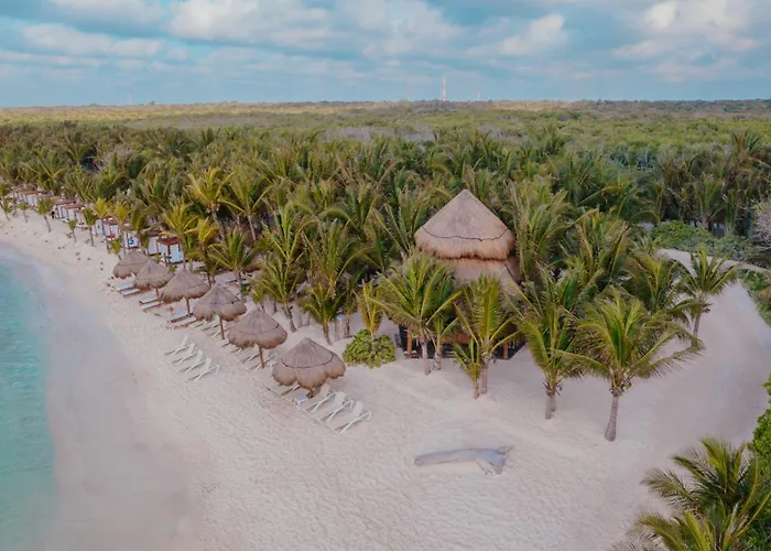 Resort El Dorado Seaside Palms, & Inclusive - Adults Only